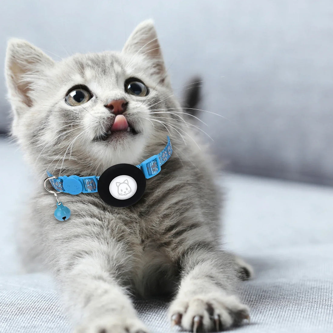 Pupella Apple Airtag Pet Collar